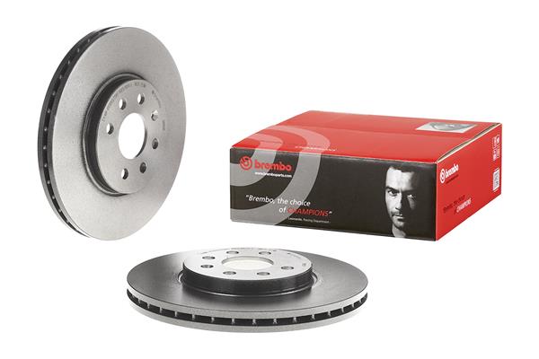 Brembo Remschijven 09.9159.11