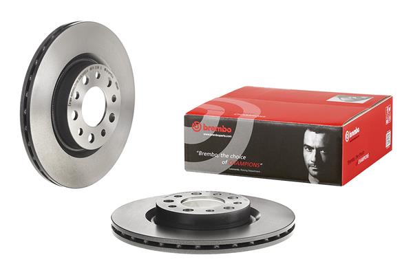 Brembo Remschijven 09.9366.11