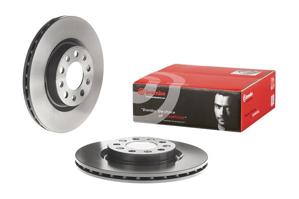 Brembo Remschijven 09.9366.21