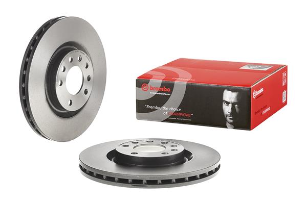 Brembo Remschijven 09.9399.11