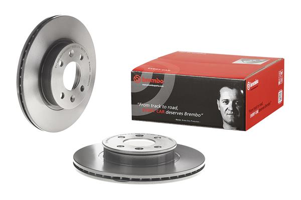 Brembo Remschijven 09.9541.11