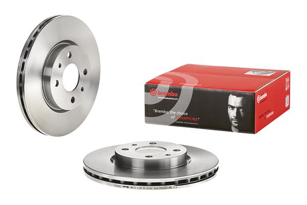 Brembo Remschijven 09.9630.10