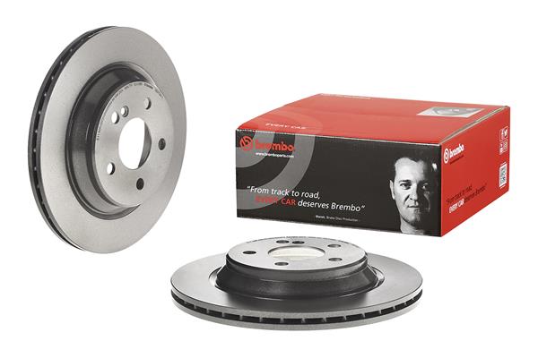 Brembo Remschijven 09.9738.11