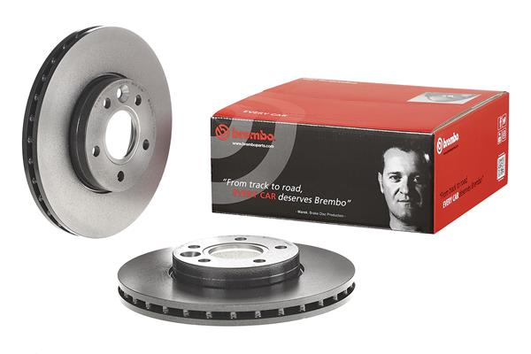 Brembo Remschijven 09.A905.11