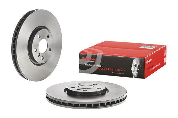 Brembo Remschijven 09.D179.11