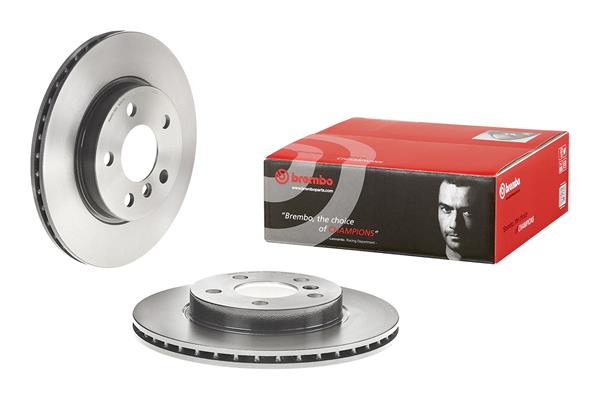 Brembo Remschijven 09.D208.11