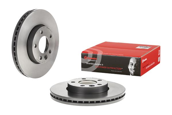 Brembo Remschijven 09.D211.11