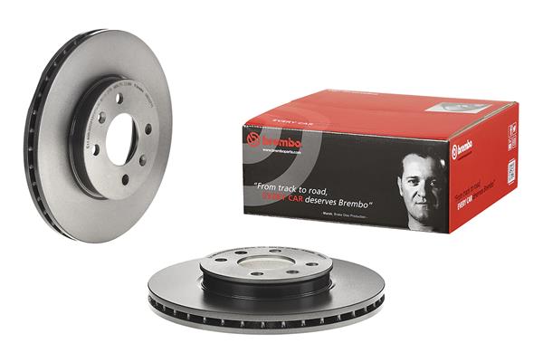 Brembo Remschijven 09.D227.11