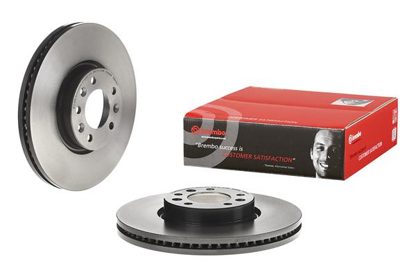 Brembo Remschijven 09.D419.11