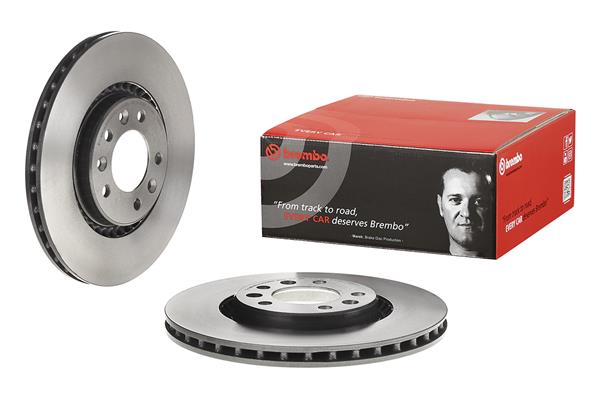 Brembo Remschijven 09.D420.11