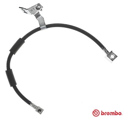 Remslang Brembo T 11 008