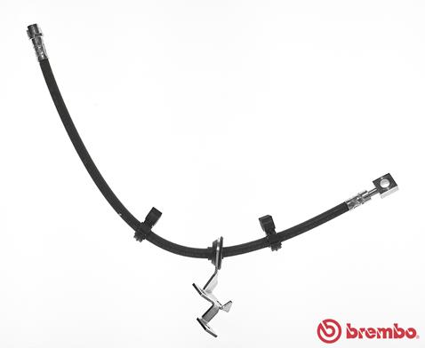 Remslang Brembo T 50 054