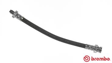 Remslang Brembo T 54 046