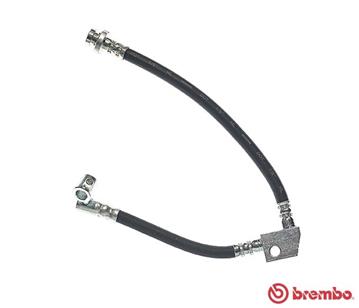 Remslang Brembo T 56 039