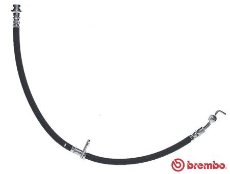 Remslang Brembo T 59 084