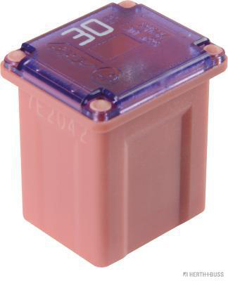 Herth+Buss Elparts Zekering 50295332