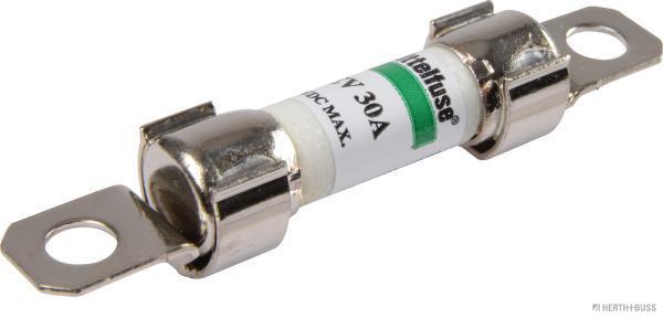 Herth+Buss Elparts Zekering 50295374099