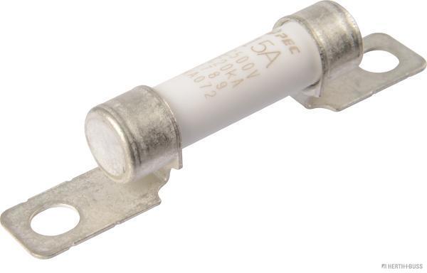 Zekering Herth+Buss Elparts 50295385