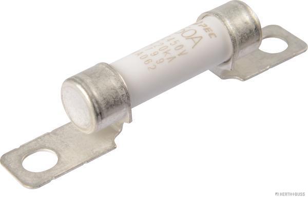 Zekering Herth+Buss Elparts 50295389