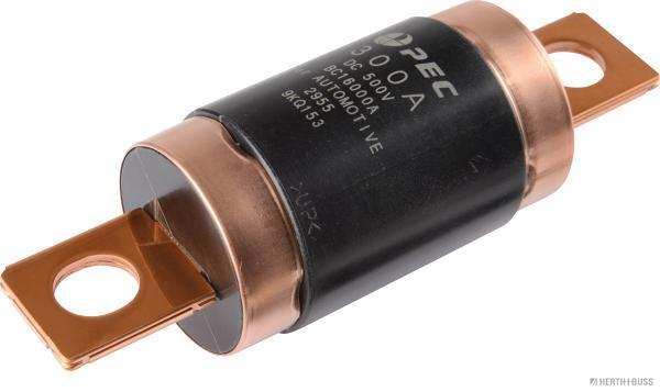 Zekering Herth+Buss Elparts 50295396