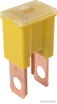 Zekering Herth+Buss Elparts 50295446