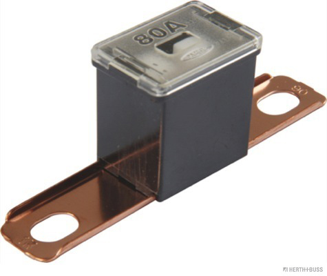 Zekering Herth+Buss Elparts 50295458