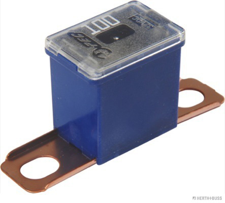 Zekering Herth+Buss Elparts 50295468