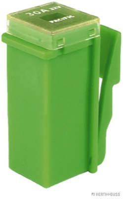 Herth+Buss Elparts Zekering 50295471