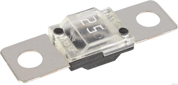 Zekering Herth+Buss Elparts 50295827