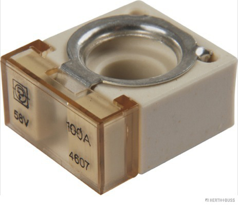 Herth+Buss Elparts Zekering 50295882