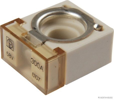 Herth+Buss Elparts Zekering 50295888