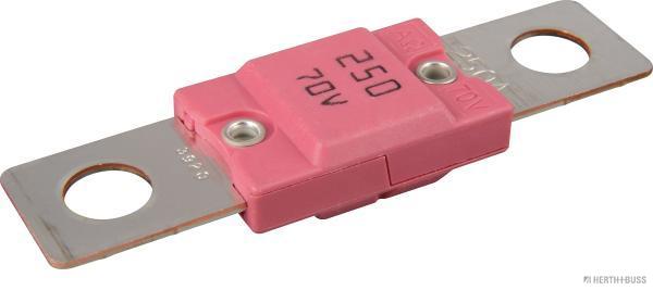 Zekering Herth+Buss Elparts 50296707