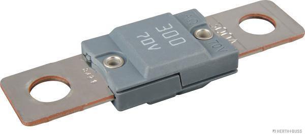 Zekering Herth+Buss Elparts 50296708