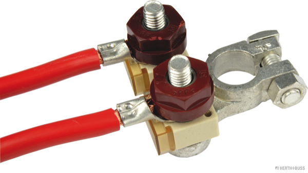 Herth+Buss Elparts Accu/batterijpoolklem 52285033