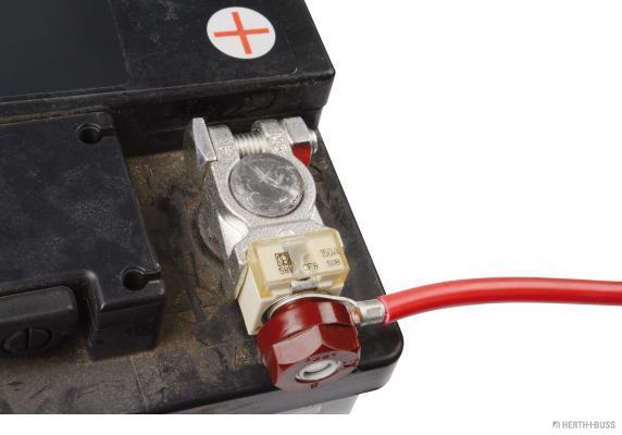 Herth+Buss Elparts Accu/batterijpoolklem 52285034