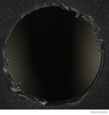 Herth+Buss Elparts Achteruitrijlicht 81670300