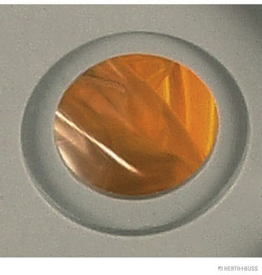 Herth+Buss Elparts Extra knipperlamp 82710091