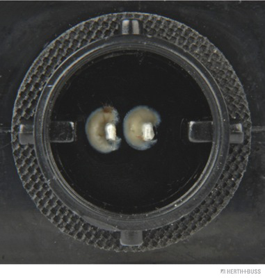 Herth+Buss Elparts Lampglas, breedtelicht 82711130