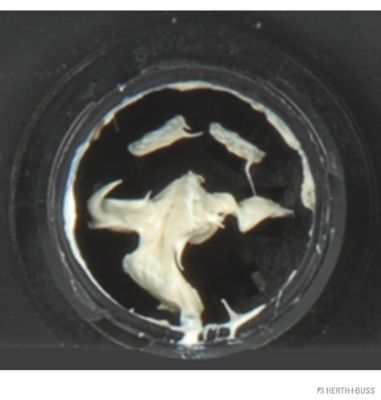 Herth+Buss Elparts Achterlicht 83830164