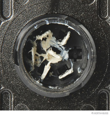 Herth+Buss Elparts Achterlicht 83830166