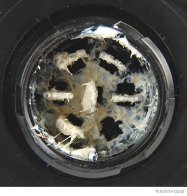 Herth+Buss Elparts Achterlicht 83830174