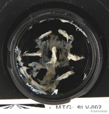 Herth+Buss Elparts Achterlicht 83830175