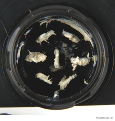 Herth+Buss Elparts Achterlicht 83830176