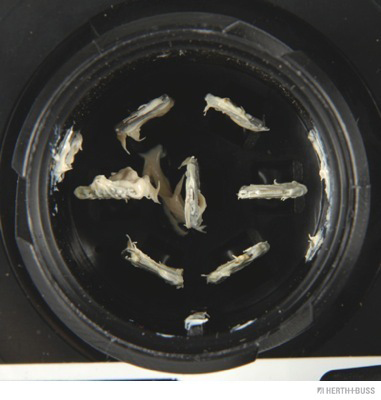 Herth+Buss Elparts Achterlicht 83830177