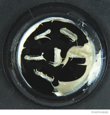 Herth+Buss Elparts Achterlicht 83830404