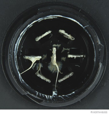 Herth+Buss Elparts Achterlicht 83830406