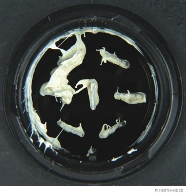 Herth+Buss Elparts Achterlicht 83830407