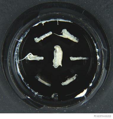 Herth+Buss Elparts Achterlicht 83830409