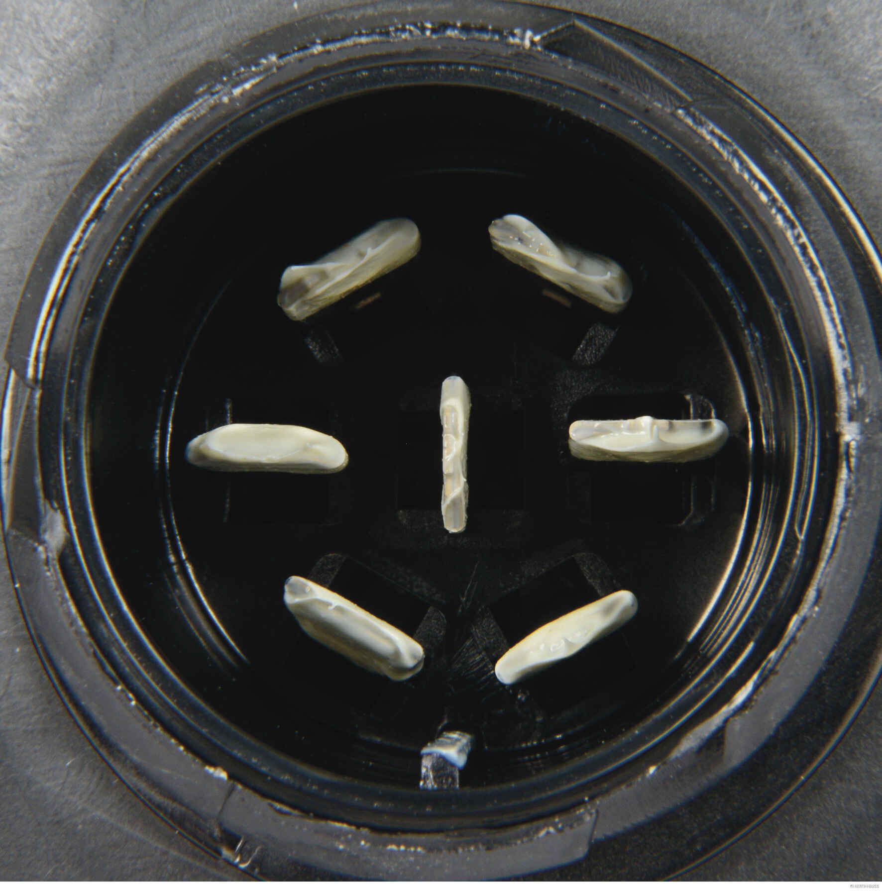 Herth+Buss Elparts Achterlicht 83830412