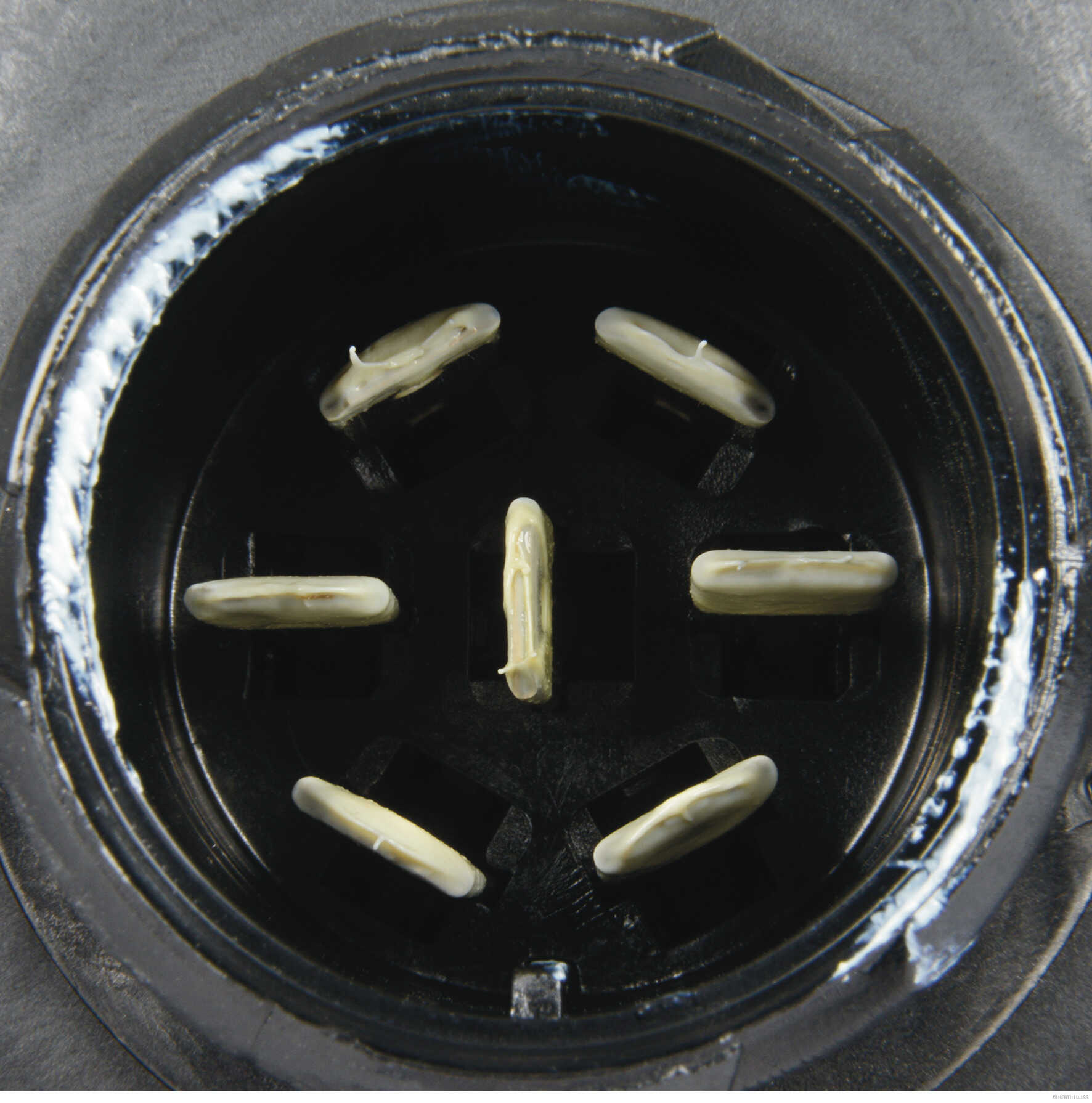 Herth+Buss Elparts Achterlicht 83830413